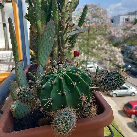 Apartamento Atelje Podgorica Exterior foto