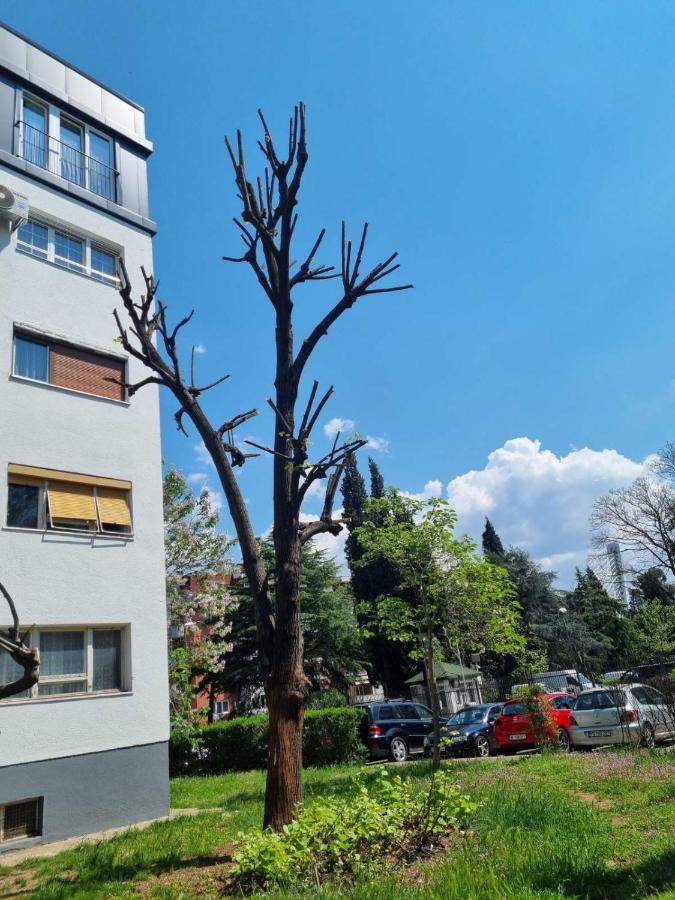 Apartamento Atelje Podgorica Exterior foto